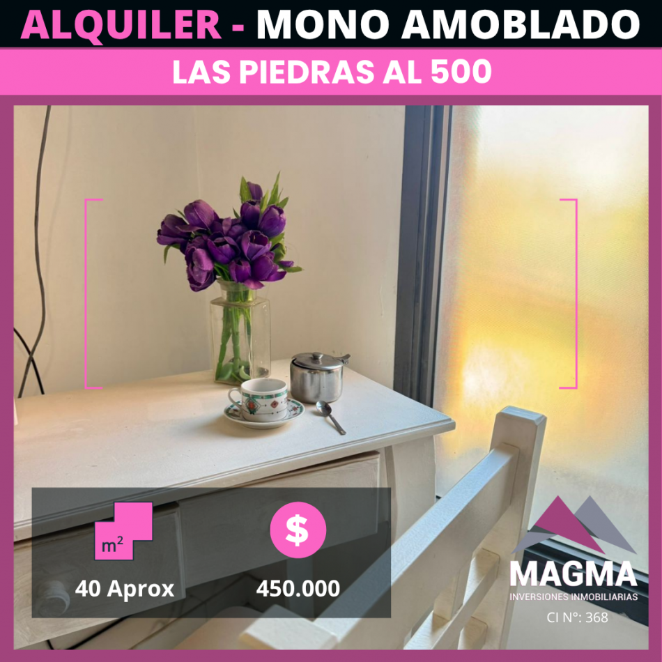 ALQUILER - Departamento Amoblado en el corazon de Barrio Sur