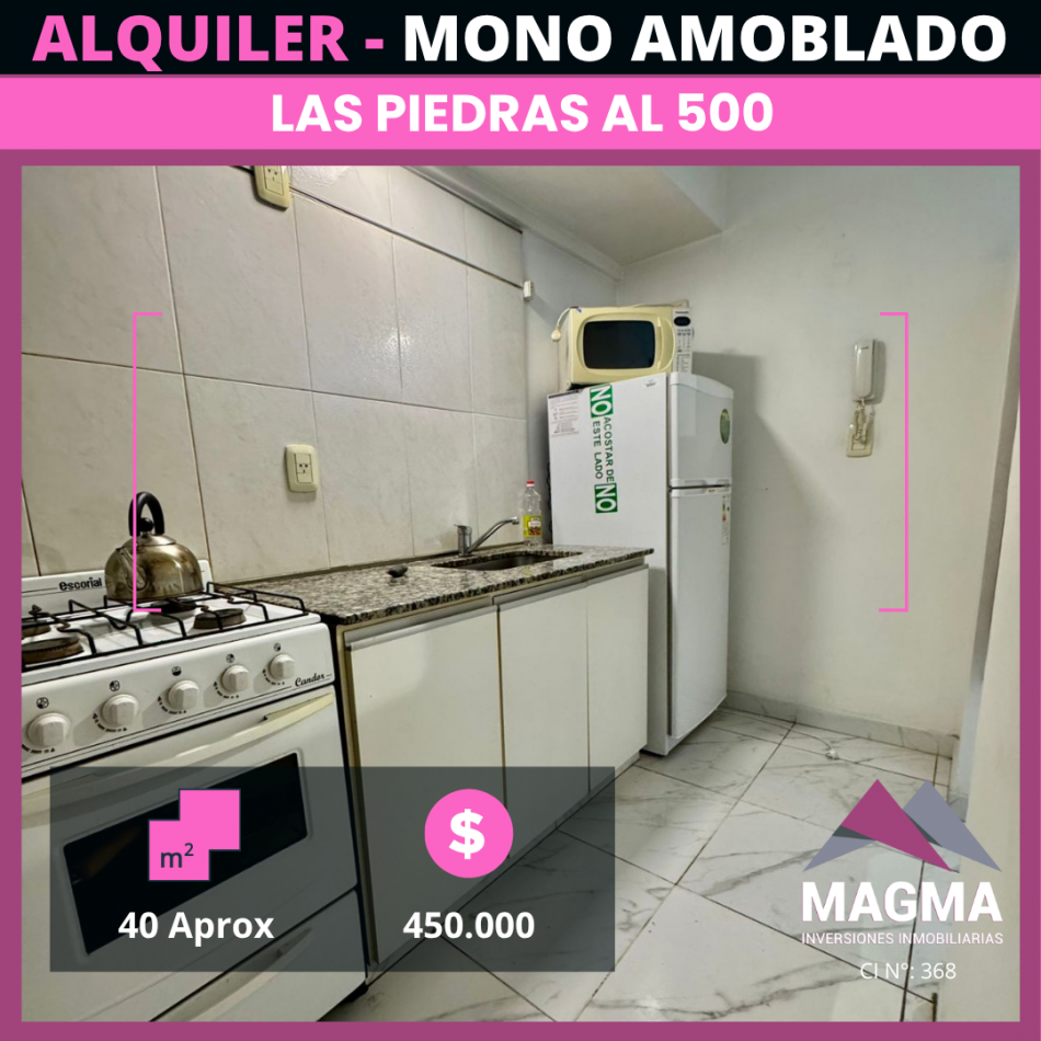 ALQUILER - Departamento Amoblado en el corazon de Barrio Sur