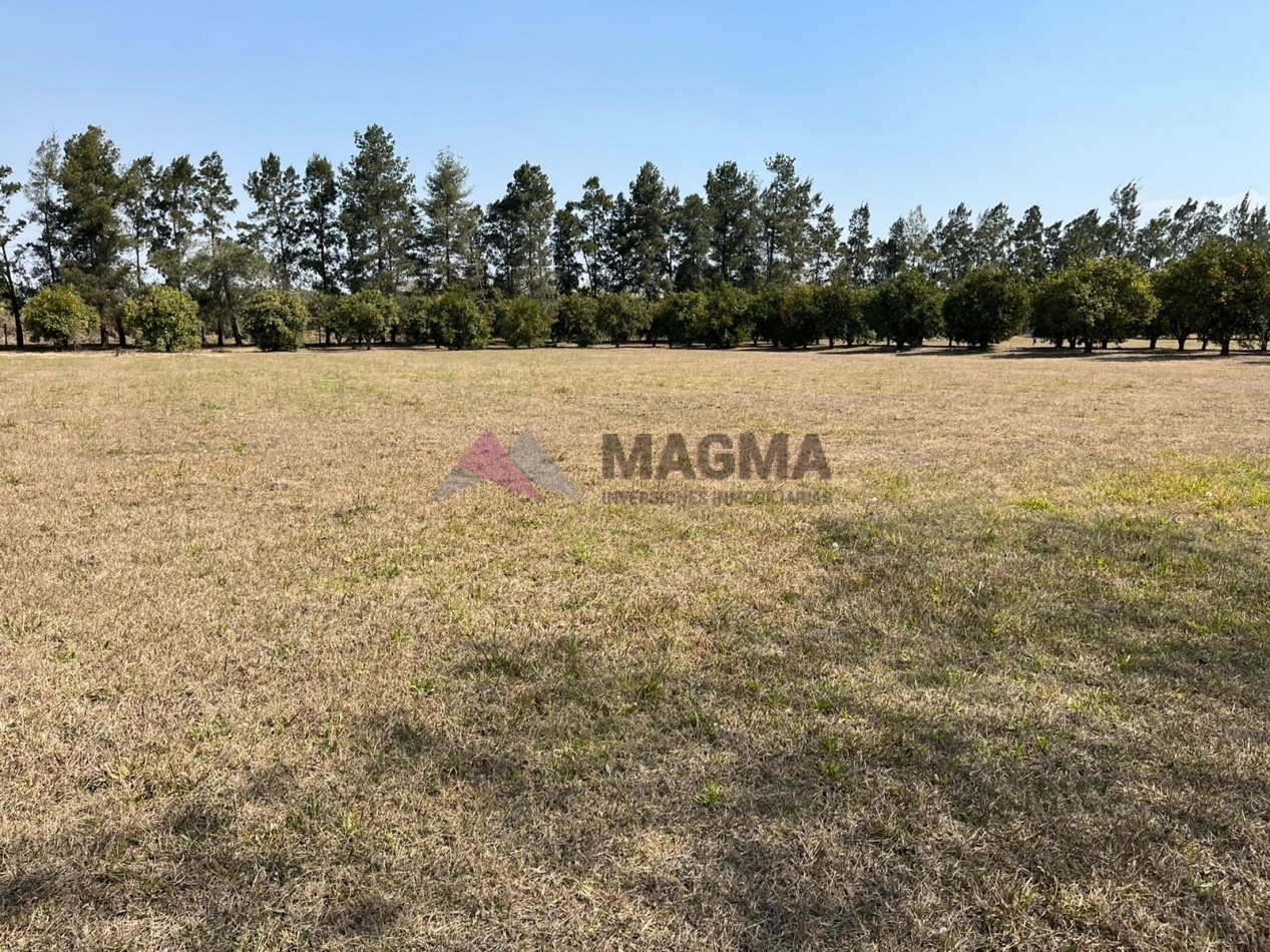 ¡OPORTUNIDAD UNICA! Terreno de 5.000 m2 en Club de Campo: Las Moritas