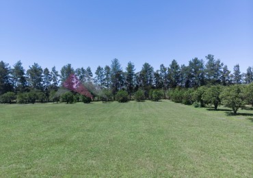 ¡OPORTUNIDAD UNICA! Terreno de 5.000 m2 en Club de Campo: Las Moritas